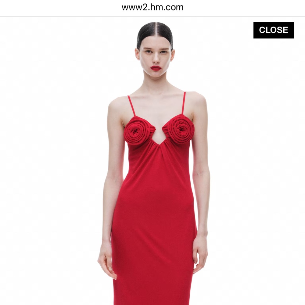 H&M X MAGDA BUTRYM ROSE APPLIQUÉD SLIP DRESS